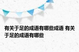 有关于足的成语有哪些成语 有关于足的成语有哪些