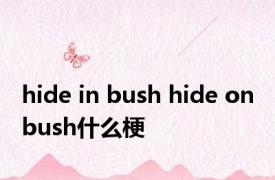 hide in bush hide on bush什么梗