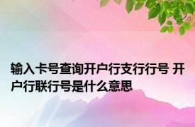 输入卡号查询开户行支行行号 开户行联行号是什么意思