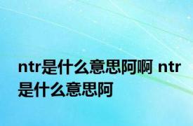 ntr是什么意思阿啊 ntr是什么意思阿