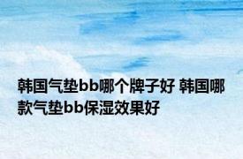 韩国气垫bb哪个牌子好 韩国哪款气垫bb保湿效果好