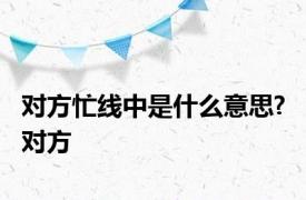 对方忙线中是什么意思? 对方 