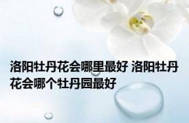 洛阳牡丹花会哪里最好 洛阳牡丹花会哪个牡丹园最好