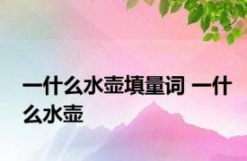 一什么水壶填量词 一什么水壶 