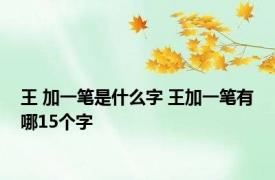 王 加一笔是什么字 王加一笔有哪15个字 