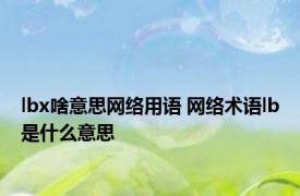 lbx啥意思网络用语 网络术语lb是什么意思