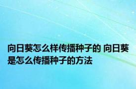 向日葵怎么样传播种子的 向日葵是怎么传播种子的方法