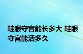 蛙眼守宫能长多大 蛙眼守宫能活多久