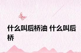 什么叫后桥油 什么叫后桥