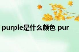 purple是什么颜色 pur 