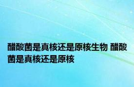 醋酸菌是真核还是原核生物 醋酸菌是真核还是原核 