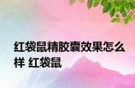 红袋鼠精胶囊效果怎么样 红袋鼠 