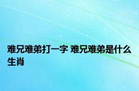 难兄难弟打一字 难兄难弟是什么生肖 