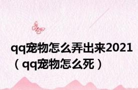 qq宠物怎么弄出来2021（qq宠物怎么死）