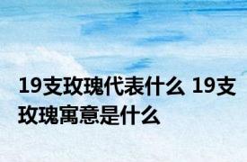 19支玫瑰代表什么 19支玫瑰寓意是什么