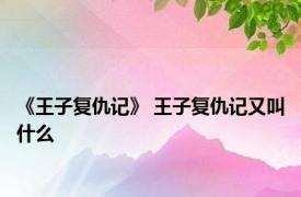 《王子复仇记》 王子复仇记又叫什么 