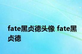 fate黑贞德头像 fate黑贞德 