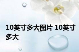 10英寸多大图片 10英寸多大 