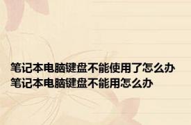 笔记本电脑键盘不能使用了怎么办 笔记本电脑键盘不能用怎么办