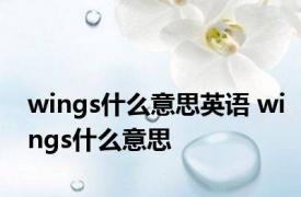 wings什么意思英语 wings什么意思 