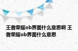 王者荣耀ob界面什么意思啊 王者荣耀ob界面什么意思