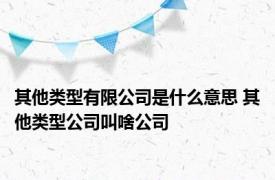 其他类型有限公司是什么意思 其他类型公司叫啥公司 