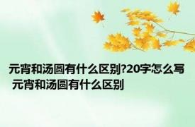 元宵和汤圆有什么区别?20字怎么写 元宵和汤圆有什么区别 