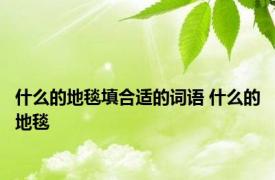 什么的地毯填合适的词语 什么的地毯 