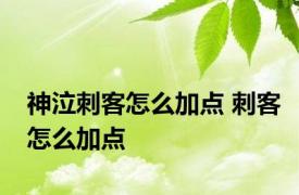 神泣刺客怎么加点 刺客怎么加点 