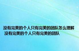 没有完美的个人只有完美的团队怎么理解 没有完美的个人只有完美的团队 