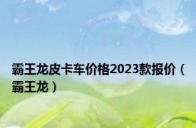 霸王龙皮卡车价格2023款报价（霸王龙）