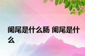 阑尾是什么肠 阑尾是什么 