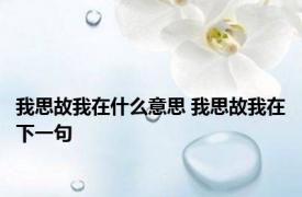 我思故我在什么意思 我思故我在下一句 