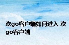 欢go客户端如何进入 欢go客户端 