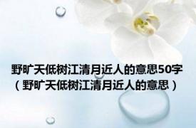 野旷天低树江清月近人的意思50字（野旷天低树江清月近人的意思）