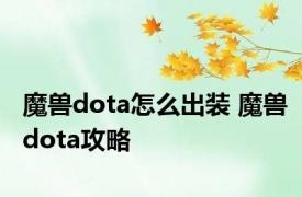 魔兽dota怎么出装 魔兽dota攻略 