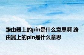 路由器上的pin是什么意思啊 路由器上的pin是什么意思