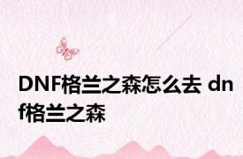 DNF格兰之森怎么去 dnf格兰之森 