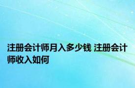 注册会计师月入多少钱 注册会计师收入如何