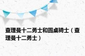 查理曼十二勇士和圆桌骑士（查理曼十二勇士）