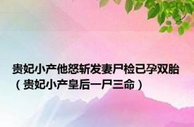 贵妃小产他怒斩发妻尸检已孕双胎（贵妃小产皇后一尸三命）