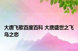 大唐飞歌百度百科 大唐盛世之飞鸟之恋 