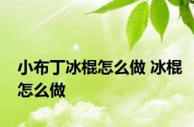 小布丁冰棍怎么做 冰棍怎么做