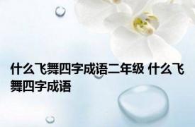 什么飞舞四字成语二年级 什么飞舞四字成语