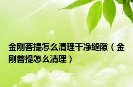 金刚菩提怎么清理干净缝隙（金刚菩提怎么清理）