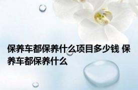 保养车都保养什么项目多少钱 保养车都保养什么 