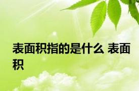 表面积指的是什么 表面积 