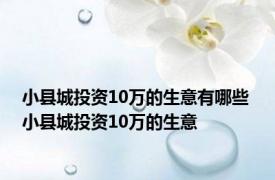 小县城投资10万的生意有哪些 小县城投资10万的生意 