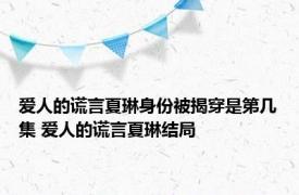 爱人的谎言夏琳身份被揭穿是第几集 爱人的谎言夏琳结局