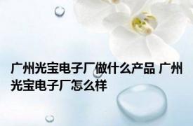 广州光宝电子厂做什么产品 广州光宝电子厂怎么样 